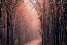 与艾滋病对抗34年！魔术师约翰逊：从2000万到身价16亿美金.