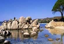 开云体育：国米复仇菲奥伦蒂那 一分紧追意甲领头羊那波利.